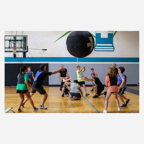 Omnikin KIN-BALL Sport schwarz (Durchmesser 122cm)